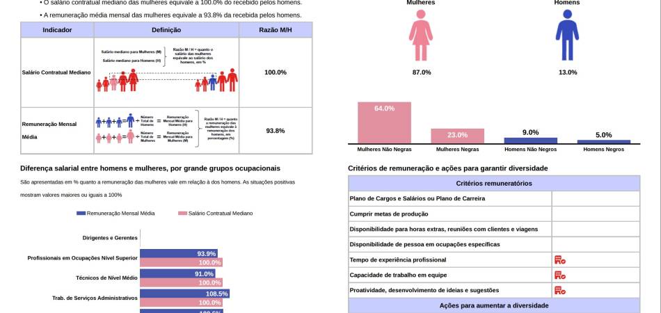 Relatório de Transparência e Igualdade Salarial de Mulheres e Homens - 2º Semestre 2025